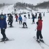 2019 Perfect North
